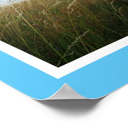 Huge Kennel Werbeaktion Poster (Ecke)