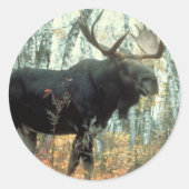 Huge Moose Runder Aufkleber (Vorderseite)