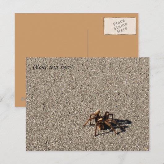 HuGe sPiDeR II Postkarte (Vorne/Hinten)