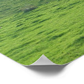 Hügel auf 227 poster (Ecke)