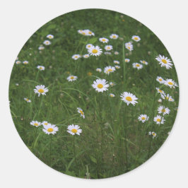 Hügel der Daisies Runder Aufkleber