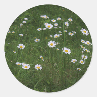 Hügel der Daisies Runder Aufkleber