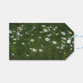 Hügel der Gänseblümchen Geschenkanhänger
