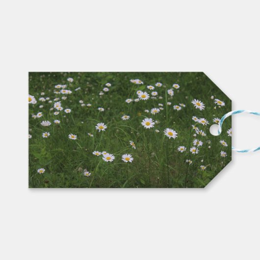 Hügel der Gänseblümchen Geschenkanhänger (Vorderseite (Horizontal))