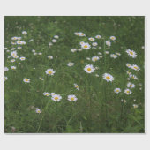 Hügel der Gänseblümchen Geschenkpapier (Flach)