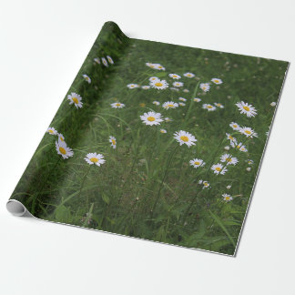 Hügel der Gänseblümchen Geschenkpapier