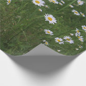 Hügel der Gänseblümchen Geschenkpapier (Ecke)