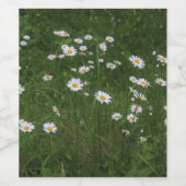 Hügel der Gänseblümchen Weinetikett (Einzelnes Label)