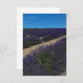 Hügel der Lavender Rows Mitteilungskarte (Vorne/Hinten)