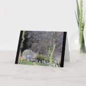 Hügel des Friedhofs Tara Karte (Vorderseite)