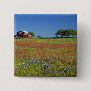 Hügel-Land Texas, Texas, Texas-Malerpinsel Button