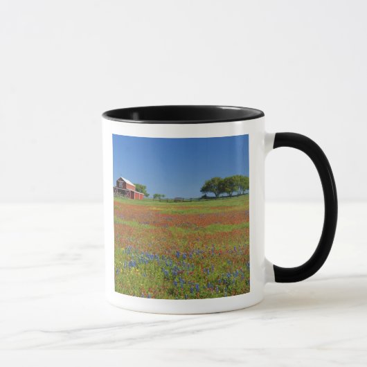 Hügel-Land Texas, Texas, Texas-Malerpinsel Tasse (Rechts)