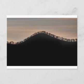 Hügel mit Bäumen bei Sonnenuntergang Postkarte