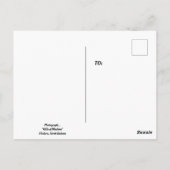 Hügel von Medora Postkarte (Rückseite)