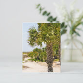 Hügelkopfgeorgia Strand und Ozean "Südstrand" Postkarte (Stehend Vorderseite)