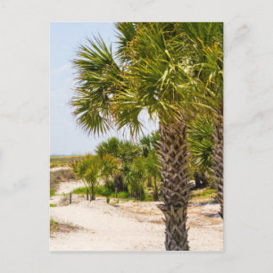 Hügelkopfgeorgia Strand und Ozean "Südstrand" Postkarte