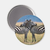 Hugging Zebras Magnet (Vorderseite/Rückseite)