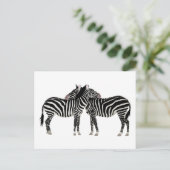 Hugging Zebras Postkarte (Stehend Vorderseite)