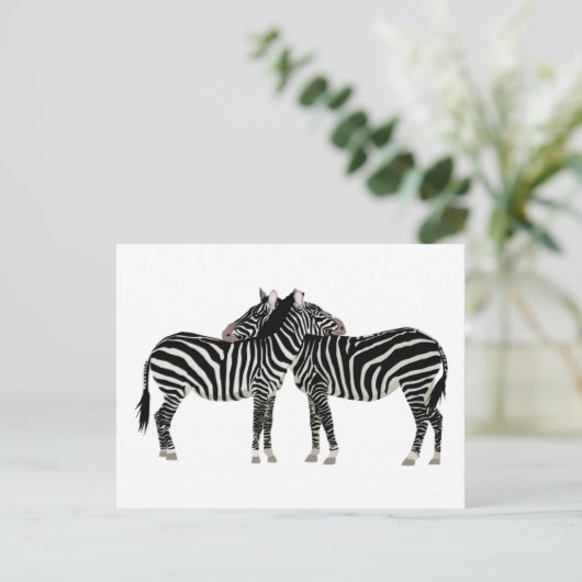 Hugging Zebras Postkarte (Stehend Vorderseite)