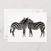 Hugging Zebras Postkarte (Vorne/Hinten)