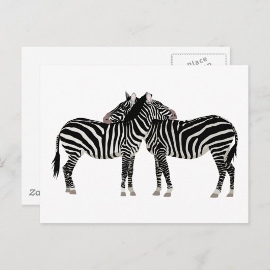 Hugging Zebras Postkarte (Vorne/Hinten)
