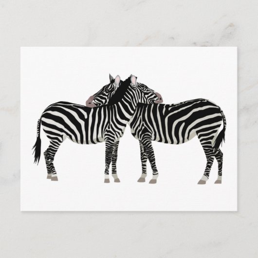Hugging Zebras Postkarte (Vorderseite)