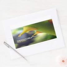 Hugh Miller Inspiration Zitat "Chancen"