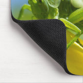 HUGO MOUSEPAD (Ecke)