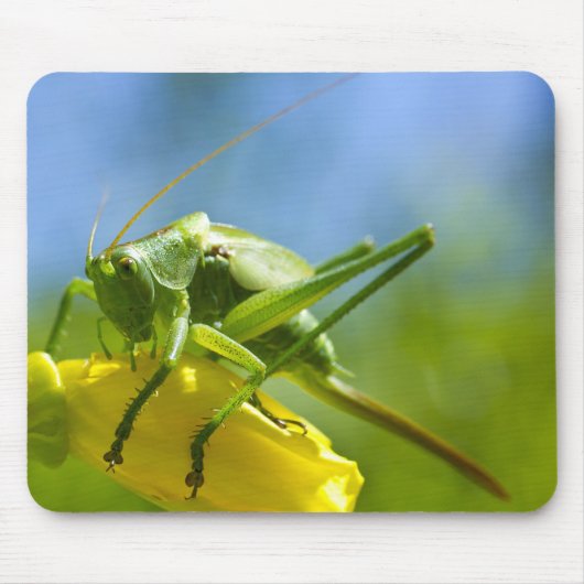 HUGO MOUSEPAD (Vorne)