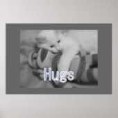 Hugs kitty Poster (Vorne)