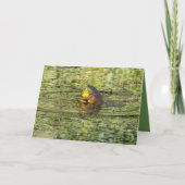 Hugs senden karte (Vorderseite)