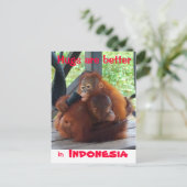 Hugs sind besser in Indonesien Postkarte (Stehend Vorderseite)