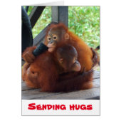 Hugs Valentine (Vorne)