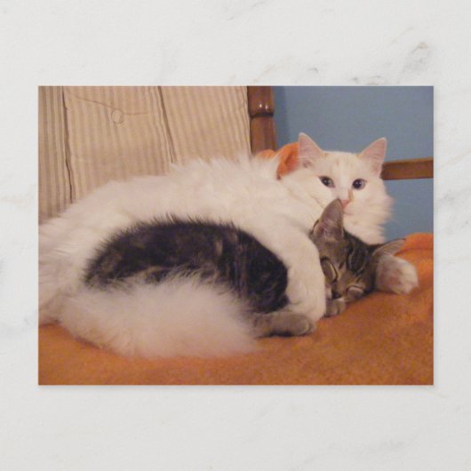 HugZ-Postkarte Postkarte (Vorderseite)
