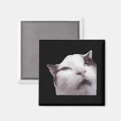 Huh! Cat Meme Magnet (Vorderseite/Rückseite)