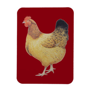 Huhn 2012 magnet