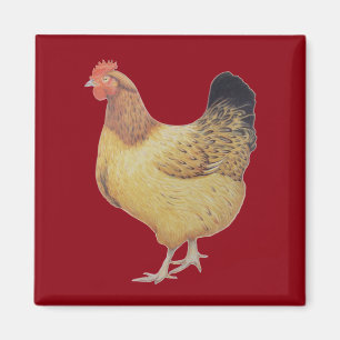 Huhn 2012 magnet