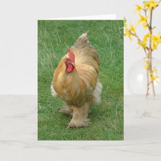 Huhn auf dem Prowl Karte (Gelbe Blume)