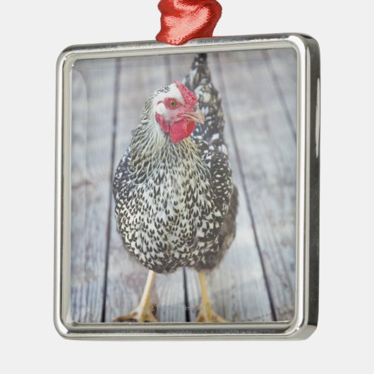 Huhn auf hölzerner Plattform, versilbern Ornament Aus Metall (Links)