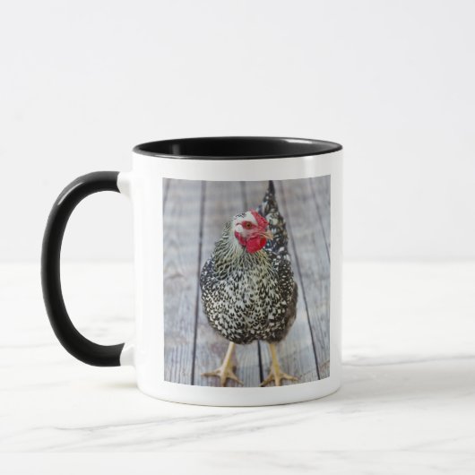Huhn auf hölzerner Plattform, versilbern Tasse (Links)