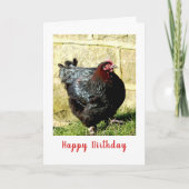 Huhn Birthday Karte (Vorderseite)