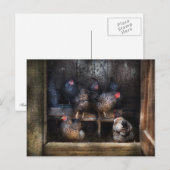 Huhn - Der Hühnerstall Postkarte (Vorne/Hinten)