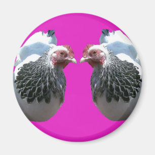 HUHN-DUO AUF MAGENTA MAGNET