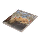 Huhn-Fliese Fliese (Seite)