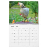 Huhn-Hof-Kalender Kalender (Mär 2026)