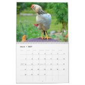 Huhn-Hof-Kalender Kalender (Mär 2027)