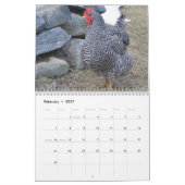 Huhn-Hof-Kalender Kalender (Feb 2027)
