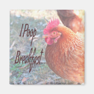 Huhn I kack Breakfast Funny Spaß Magnet