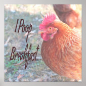 Huhn I kack Breakfast Funny Spaß Poster (Vorne)
