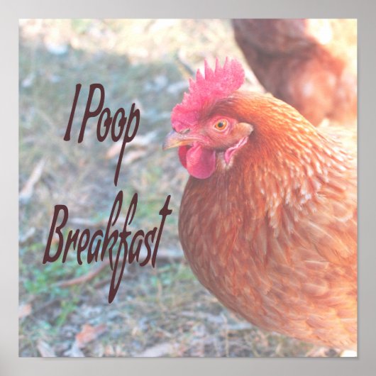 Huhn I kack Breakfast Funny Spaß Poster (Vorne)